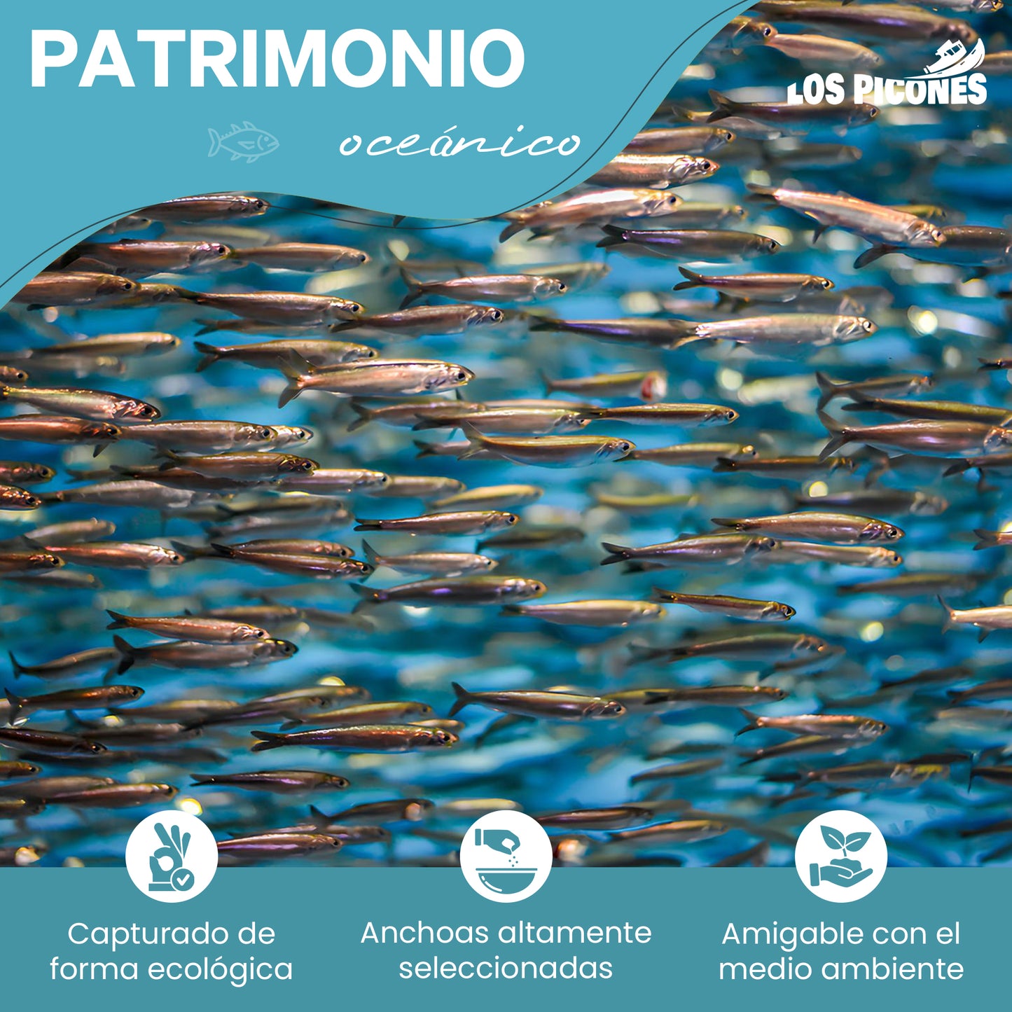 Anchoas del Cantábrico en Mantequilla Líquida Ecológica I Lata 100 gr./12 filetes.