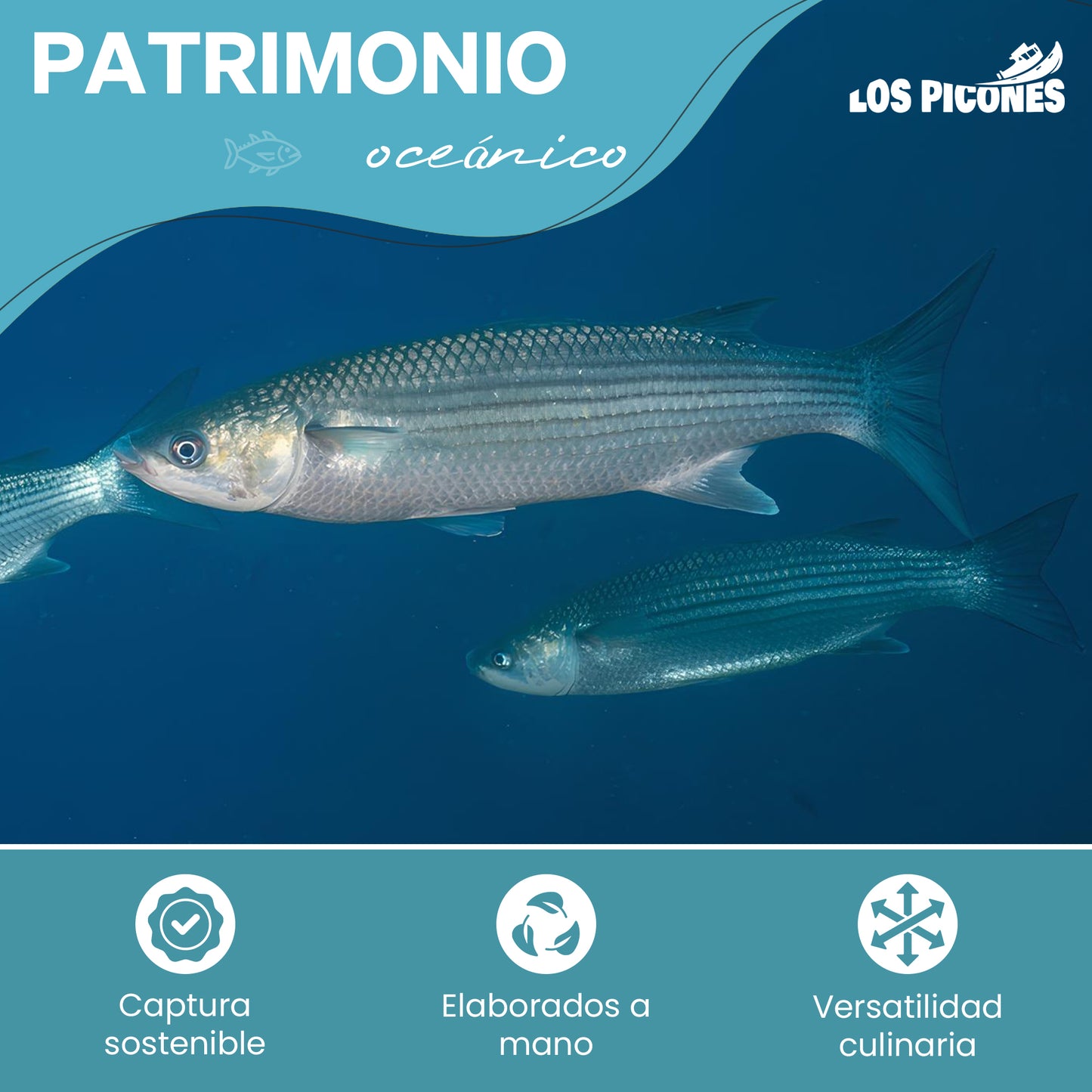 Hueva De Estornino Premium I (Aprox. 100gr)