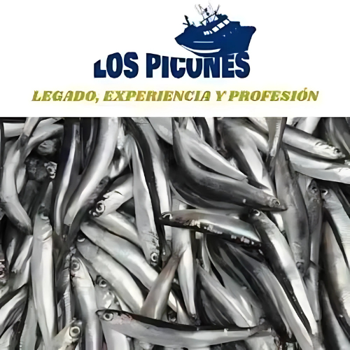 Anchoas del Cantábrico en Mantequilla Líquida Ecológica I Lata 100 gr./12 filetes.