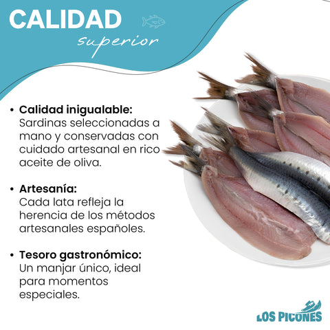 Sardinas Marinadas en Aceite de Oliva I Lata 115 gramos / 6 Lomos I Sardinas Anchoadas.