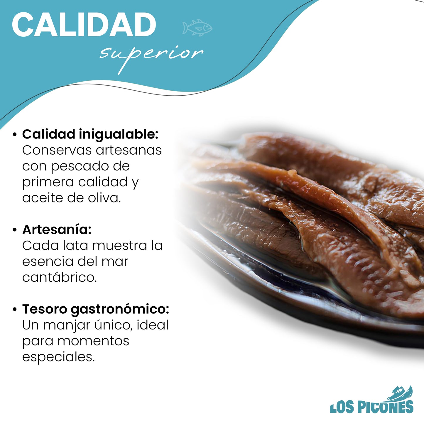 Anchoas Revilla I Anchoas del Cantábrico en Mantequilla Ecológica I Lata HANSA 120 gr. /12-14 lomos.
