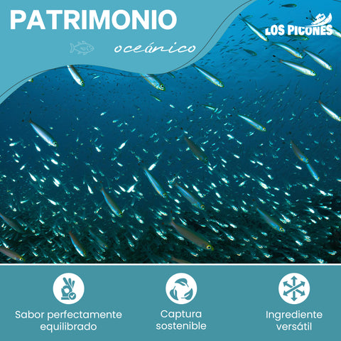Anchoas Revilla I Anchoas Del Cantábrico en Mantequilla Ecológica I Octavilla 60g/8-10 lomos.