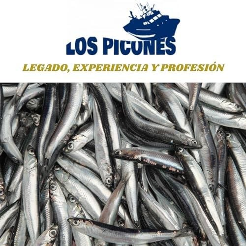 Sardinas Ahumadas en Aceite de Oliva I Lata 115 gramos / 6 Lomos I Sardinas Anchoadas.