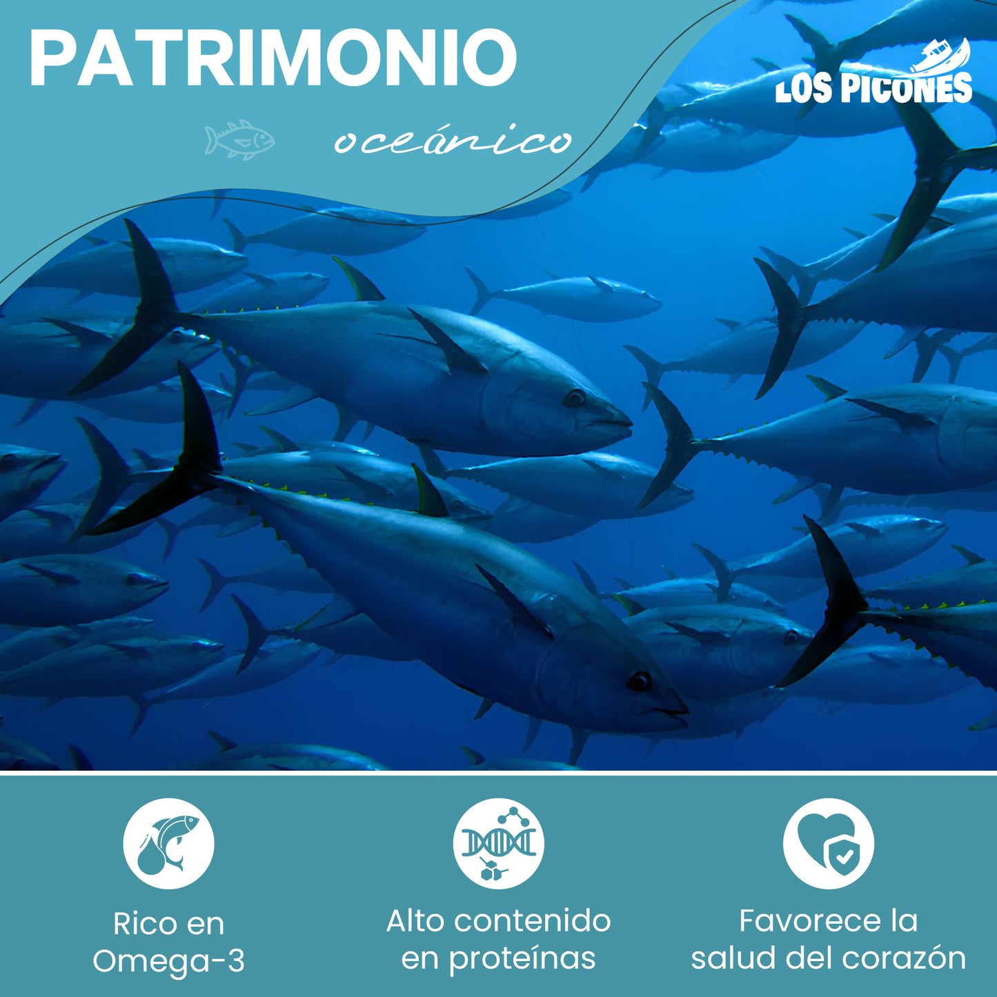 Pack Variado I Ijada de Atún I Sardina Ahumada I Anchoas del Cantábrico I Lata Hansa Anchoas Revilla I Bonito Salado en Aceite I Mojama de Atún Premium.
